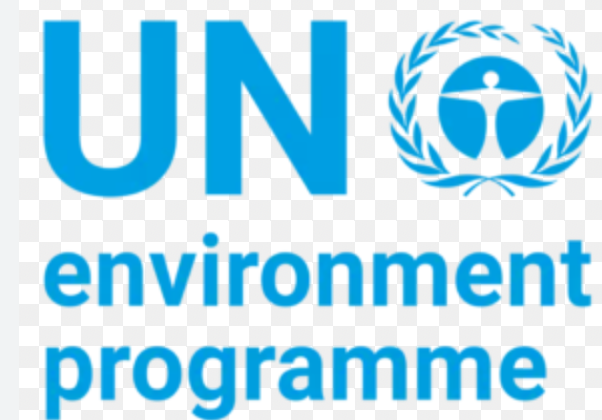 UN Environment (potential)