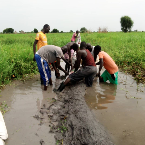 Environment Protection Mainstreaming